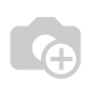 17.webp